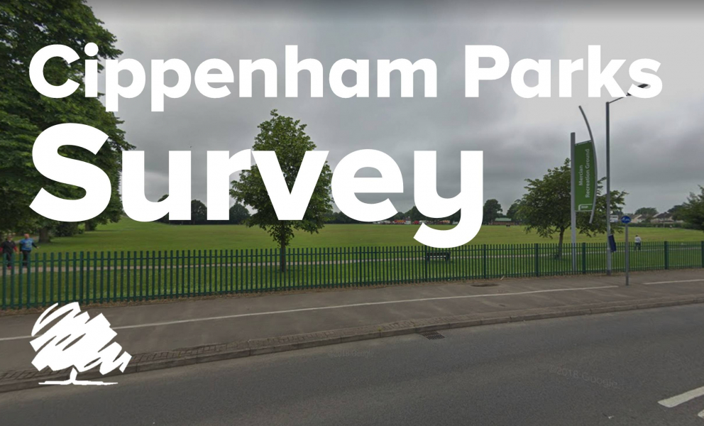 Cippenham Parks Survey