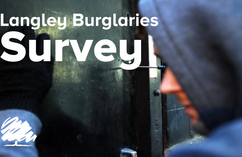 Langley Crime Survey