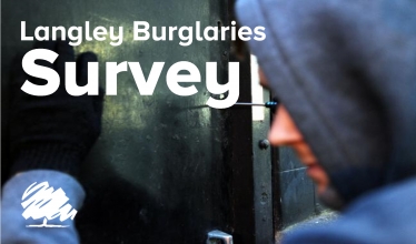 Langley Crime Survey